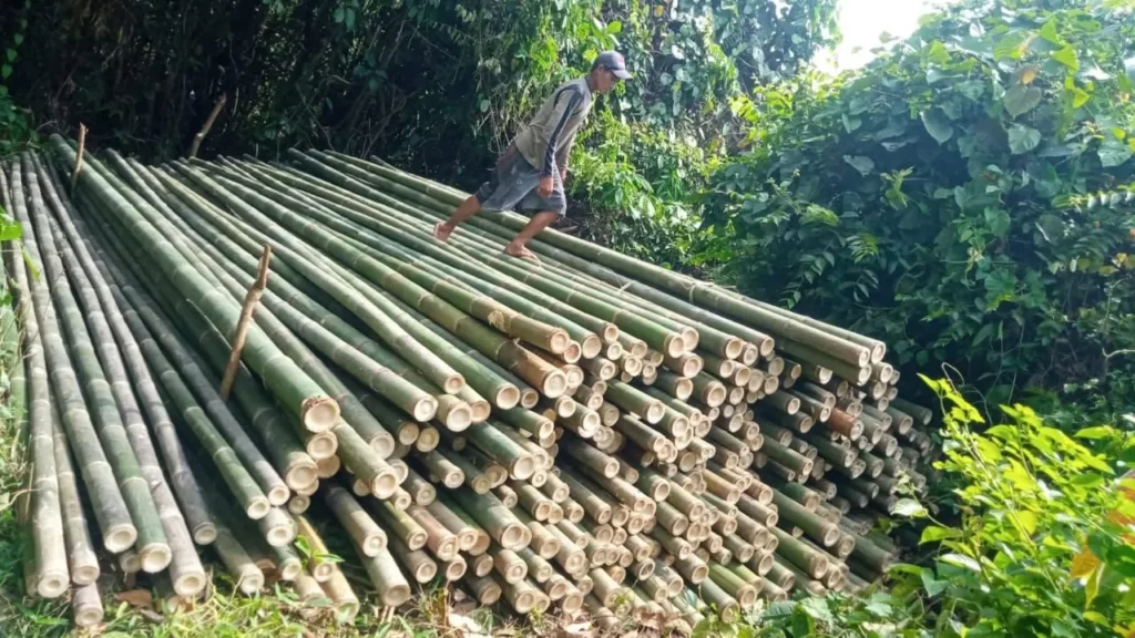 Jual Bambu Jakarta